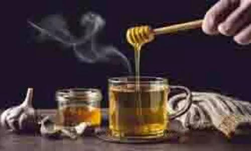 Honey Water: गुनगुने पानी में मिलाएं एक चम्मच शहद, हर रोज पिएंगे तो दूर रहेंगी सेहत से जुड़ी ये समस्याएं Honey Water: गुनगुने पानी में मिलाएं एक चम्मच शहद, हर रोज पिएंगे तो दूर रहेंगी सेहत से जुड़ी ये समस्याएं