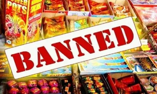 Ferozepur: सरकार ने जारी किए कड़े आदेश, पटाखों की बिक्री पर रोक Ferozepur: सरकार ने जारी किए कड़े आदेश, पटाखों की बिक्री पर रोक