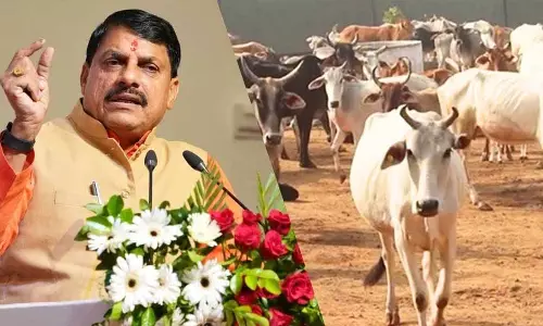 Bhopal: सीएम यादव की योजना, दुग्ध उत्पादन से किसानों की आय दोगुनी
