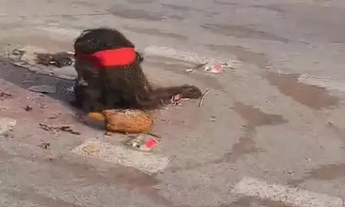 बीच सड़क में इंसानी पुतले का कटा सिर दिखा, वीडियो वायरल