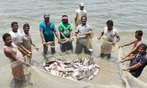 आत्मनिर्भरता और आर्थिक स्थिरता का मजबूत आधार बना-मत्स्य पालन