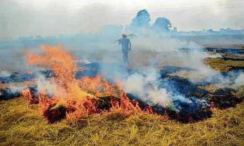 जालंधर में अब तक खेत में आग लगने का एक मामला, AQI मध्यम