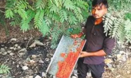 Bareilly: खाद्य विभाग की छापेमारी, 80 किलो मिठाई बरामद Bareilly: खाद्य विभाग की छापेमारी, 80 किलो मिठाई बरामद