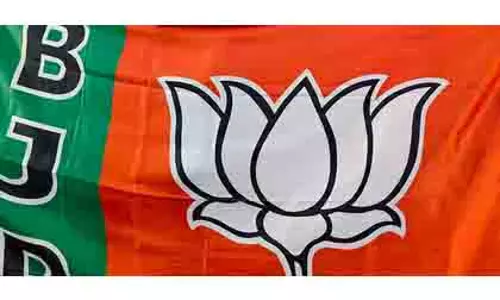 बंगाल BJP ने मीडिया पैनलिस्टों को ब्लॉक स्तर पर जनसंपर्क में लगाया