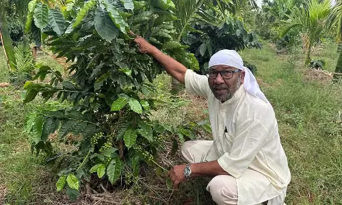 खेती में करोड़ों कमा रहे किसान: प्रोग्रेसिव किसान ईश्वरप्पा हंचिना की उपलब्धियां खेती में करोड़ों कमा रहे किसान: प्रोग्रेसिव किसान ईश्वरप्पा हंचिना की उपलब्धियां