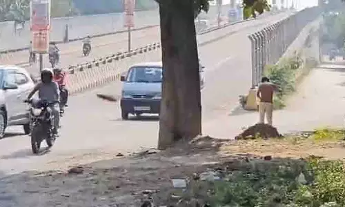 UP: बरेली में मधुमक्खियों के हमले के बाद शर्ट उतारकर भागता हुआ व्यक्ति