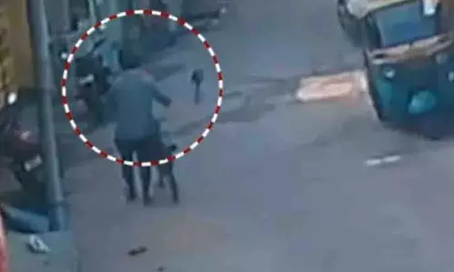 Cuttack में बर्बरता की घटना, कुत्ते की हत्या से मचा हड़कंप Cuttack में बर्बरता की घटना, कुत्ते की हत्या से मचा हड़कंप