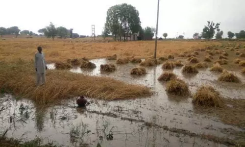 34 जिलों में 61 लाख हेक्टेयर भूमि क्षतिग्रस्त, सरकारी सहायता का इंतजार 34 जिलों में 61 लाख हेक्टेयर भूमि क्षतिग्रस्त, सरकारी सहायता का इंतजार