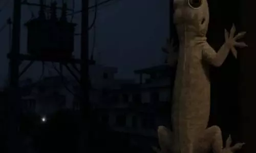 Lizard: छिपकली के कारण 17,000 घरों की बिजली 3 घंटे बंद
