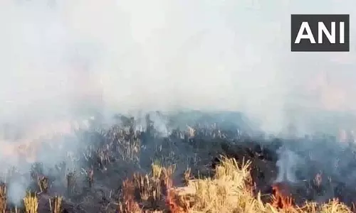 बठिंडा के खेत में पराली जलाने की घटना दर्ज