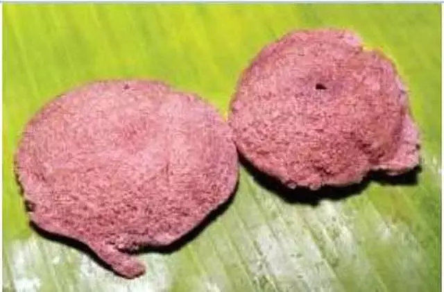 Tamil Nadu : फास्ट-फूड दुकानों पर चावल और गेहूं का आटा उपलब्ध Tamil Nadu : फास्ट-फूड दुकानों पर चावल और गेहूं का आटा उपलब्ध