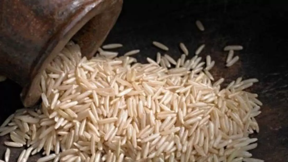 MP : बालाघाट में चावल में स्वाद के लिए मिलर्स प्रोपलीन ग्लाइकॉल मिला रहे है MP : बालाघाट में चावल में स्वाद के लिए मिलर्स प्रोपलीन ग्लाइकॉल मिला रहे है