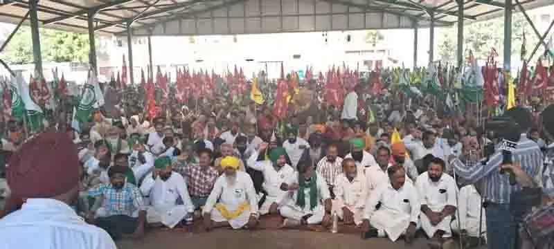 नई जगह पर स्थानांतरण के खिलाफ Jalalabad सब्जी विक्रेताओं का धरना 19वें दिन भी जारी नई जगह पर स्थानांतरण के खिलाफ Jalalabad सब्जी विक्रेताओं का धरना 19वें दिन भी जारी