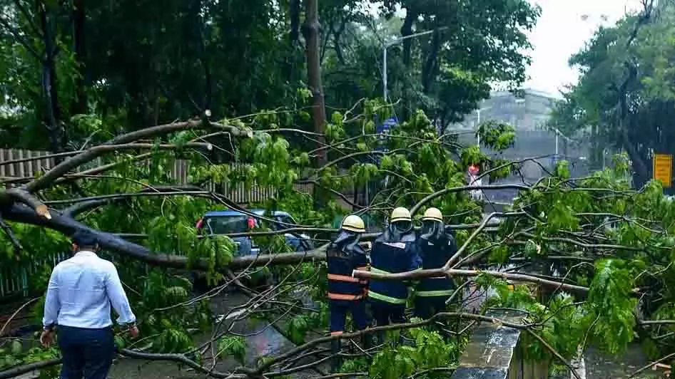 Nungambakkam में कार पर पेड़ गिरा, दो महिलाएं मामूली रूप से घायल Nungambakkam में कार पर पेड़ गिरा, दो महिलाएं मामूली रूप से घायल