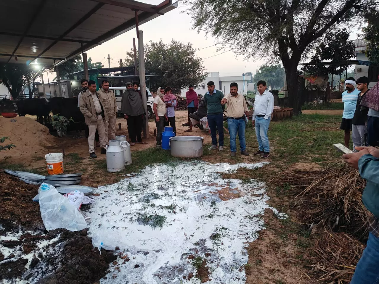Jaipur: मिलावट रोकने विशेष अभियान में 15 मावा इकाइयों का निरीक्षण, मिलावटी उत्पाद नष्ट Jaipur: मिलावट रोकने विशेष अभियान में 15 मावा इकाइयों का निरीक्षण, मिलावटी उत्पाद नष्ट