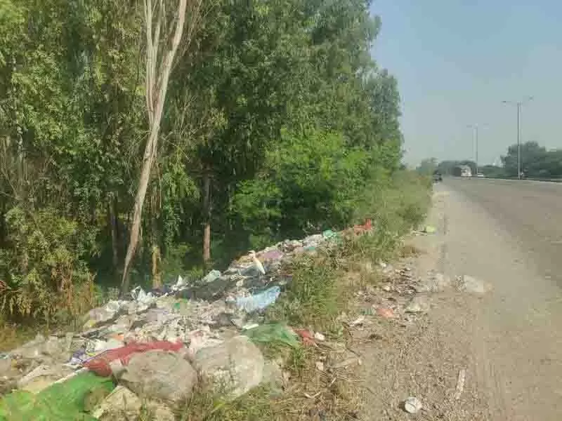 Amritsar: बाईपास सड़कों पर लगे कूड़े के ढेर नगर निगम के उदासीन रवैये को उजागर करते Amritsar: बाईपास सड़कों पर लगे कूड़े के ढेर नगर निगम के उदासीन रवैये को उजागर करते