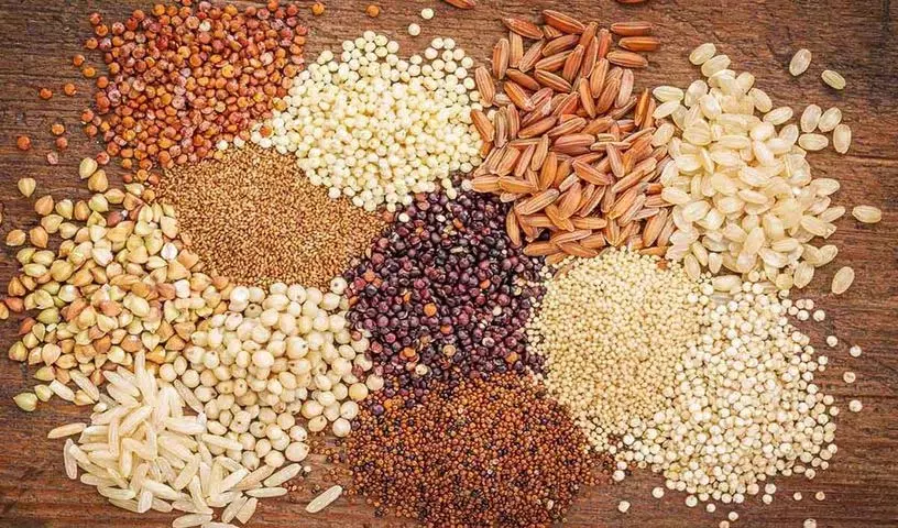 अपनी बीमारियों के अनुसार हमें किस प्रकार का बाजरा लेना चाहिए? अपनी बीमारियों के अनुसार हमें किस प्रकार का बाजरा लेना चाहिए?