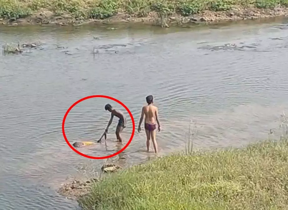 CG: अरपा नदी में युवती का शव मिलने से सनसनी, पुलिस जांच में जुटी CG: अरपा नदी में युवती का शव मिलने से सनसनी, पुलिस जांच में जुटी