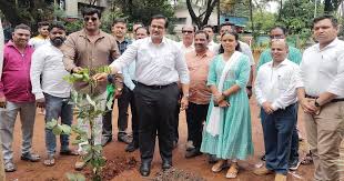 Panvel की हरित पहल: सायन-पनवेल राजमार्ग पर 1.25 लाख पेड़ लगाए जाएंगे