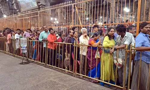 तिरुवन्नामलाई मंदिर में भक्तों की ज़रूरतों को युद्ध स्तर पर पूरा किया जा रहा है: Minister तिरुवन्नामलाई मंदिर में भक्तों की ज़रूरतों को युद्ध स्तर पर पूरा किया जा रहा है: Minister