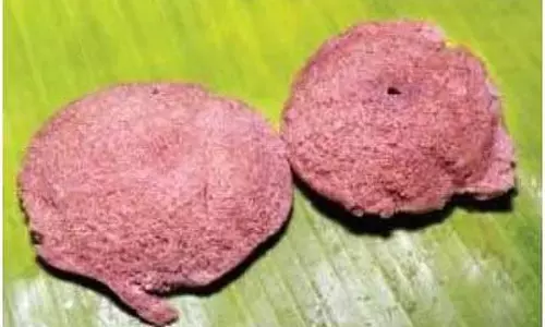 Tamil Nadu : फास्ट-फूड दुकानों पर चावल और गेहूं का आटा उपलब्ध Tamil Nadu : फास्ट-फूड दुकानों पर चावल और गेहूं का आटा उपलब्ध
