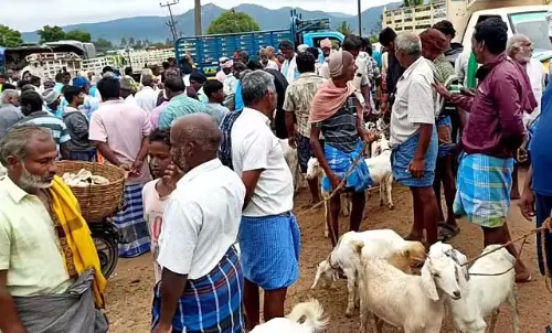 Tamil Nadu : केंगावल्ली बाजार में 3 करोड़ में बिका बकरा