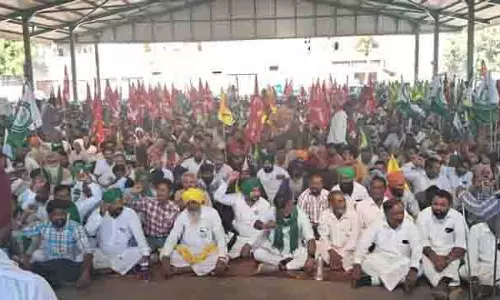नई जगह पर स्थानांतरण के खिलाफ Jalalabad सब्जी विक्रेताओं का धरना 19वें दिन भी जारी