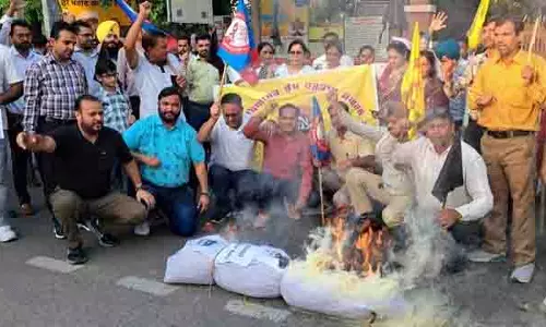 कंप्यूटर शिक्षकों ने Punjab सरकार का पुतला फूंका