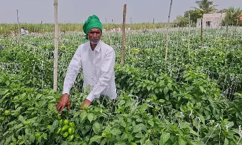 साइंटिफिक खेती से ज़्यादा मुनाफ़ा: किसानों की सफलता की कहानियाँ साइंटिफिक खेती से ज़्यादा मुनाफ़ा: किसानों की सफलता की कहानियाँ