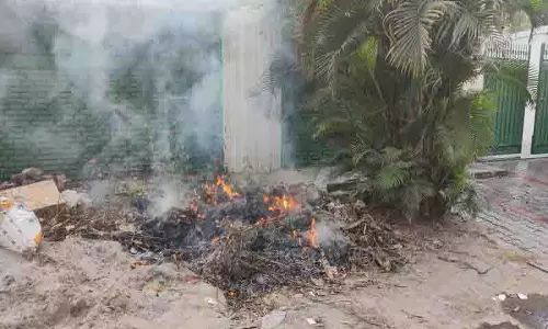 लुधियाना में कचरा जलाने पर पैनल ने जताई चिंता, उल्लंघन के खिलाफ NGT का रुख किया