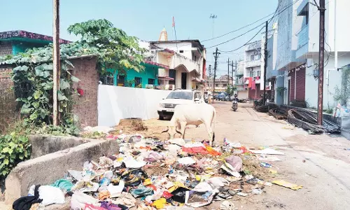 दीपावली पर कुरुद में गंदगी का ढेर, सफाई व्यवस्था पर उठे सवाल