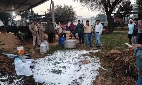 Jaipur: मिलावट रोकने विशेष अभियान में 15 मावा इकाइयों का निरीक्षण, मिलावटी उत्पाद नष्ट Jaipur: मिलावट रोकने विशेष अभियान में 15 मावा इकाइयों का निरीक्षण, मिलावटी उत्पाद नष्ट