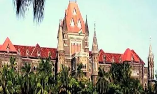 स्टोरेंट में हर्बल हुक्का बेचने पर कोई प्रतिबंध नहीं स्टोरेंट में हर्बल हुक्का बेचने पर कोई प्रतिबंध नहीं