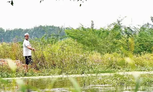 हैदराबाद में मछली पकड़ने के शौकीन परेशान — पुलिस कार्रवाई के डर से शौक हुआ सीमित हैदराबाद में मछली पकड़ने के शौकीन परेशान — पुलिस कार्रवाई के डर से शौक हुआ सीमित