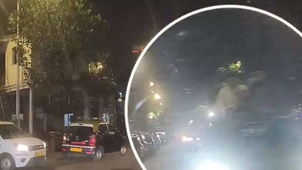 Mumbai : नागपाड़ा में सुबह 4 बजे दो युवकों ने चलती ऑडी की छत पर खतरनाक स्टंट किए Mumbai : नागपाड़ा में सुबह 4 बजे दो युवकों ने चलती ऑडी की छत पर खतरनाक स्टंट किए