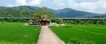 Kerala : हरे-भरे पेड़ों से घिरा, उथ्रालिकावु मंदिर प्रकृति की भव्यता और आकर्षण को दर्शाता है Kerala : हरे-भरे पेड़ों से घिरा, उथ्रालिकावु मंदिर प्रकृति की भव्यता और आकर्षण को दर्शाता है
