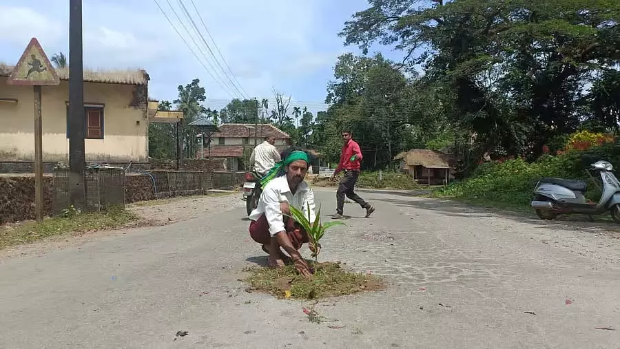 Ranebennur : सुपारी के पौधे लगाकर अकेले विरोध प्रदर्शन Ranebennur : सुपारी के पौधे लगाकर अकेले विरोध प्रदर्शन