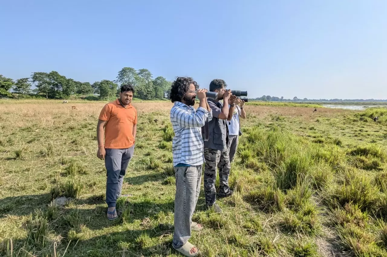 Assam के काजीरंगा में नवीनतम सर्वेक्षण में 146 पक्षी प्रजातियां दर्ज की गईं Assam के काजीरंगा में नवीनतम सर्वेक्षण में 146 पक्षी प्रजातियां दर्ज की गईं