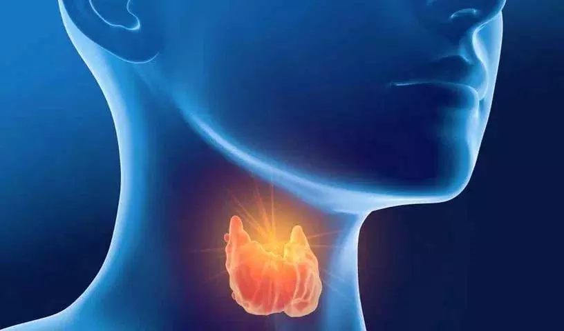 Thyroid से पीड़ित लोगों को क्या खाना चाहिए? उन्हें क्या नहीं खाना चाहिए? Thyroid से पीड़ित लोगों को क्या खाना चाहिए? उन्हें क्या नहीं खाना चाहिए?