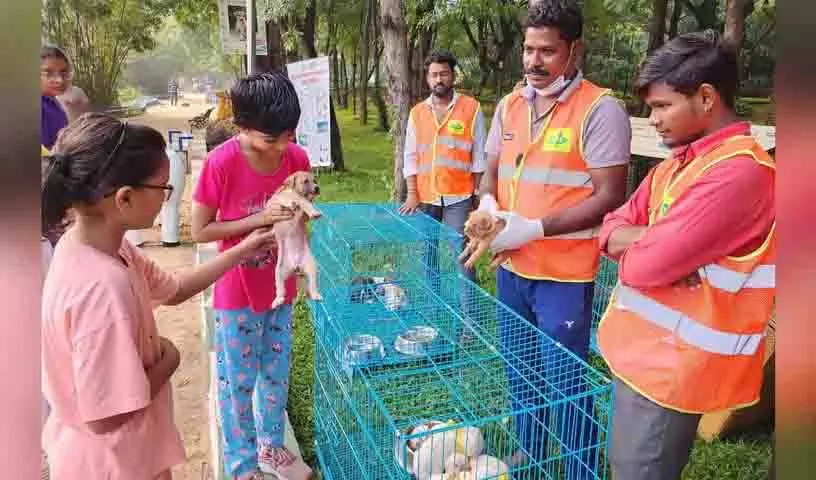 जेवीआर पार्क में GHMC अभियान में 11 इंडी पिल्लों को गोद लिया गया जेवीआर पार्क में GHMC अभियान में 11 इंडी पिल्लों को गोद लिया गया