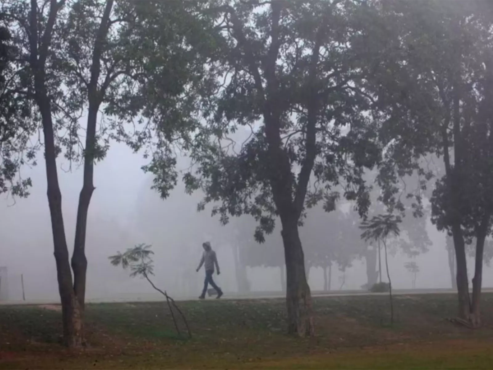 लाहौर दुनिया के सबसे प्रदूषित शहरों की सूची में सबसे ऊपर लाहौर दुनिया के सबसे प्रदूषित शहरों की सूची में सबसे ऊपर