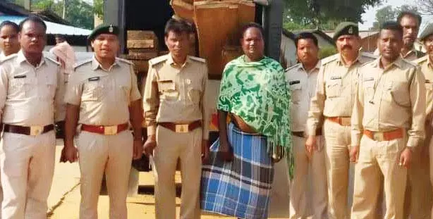 उडऩदस्ता टीम की बड़ी कार्रवाई, घर से 30 नग बीजा लकड़ी बरामद उडऩदस्ता टीम की बड़ी कार्रवाई, घर से 30 नग बीजा लकड़ी बरामद