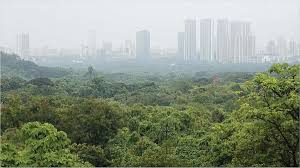 Greens ने राष्ट्रीय उद्यान के लिए बीएमसी के क्षेत्रीय मसौदा मास्टरप्लान की आलोचना की