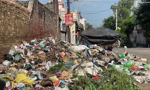 Sangrur नगर निगम में सत्ता संघर्ष के चलते कूड़े का ढेर