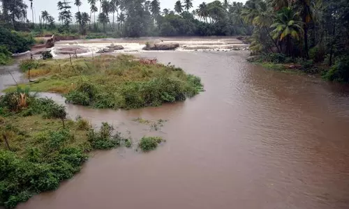 Tamil Nadu की मुल्लापेरियार नदी उफान पर, थेनी के कई गांव जलमग्न, फसलें नष्ट