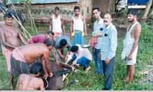 Bhadrak पशु सहायता केंद्रों की कमी से पशुपालक परेशान