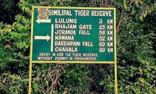 मानसून अवकाश के बाद सिमिलिपाल टाइगर रिजर्व फिर से खुला मानसून अवकाश के बाद सिमिलिपाल टाइगर रिजर्व फिर से खुला