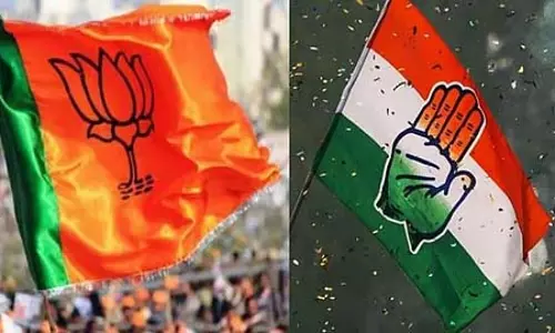 बीजेपी विधायक ने कांग्रेस पार्टी को बताया सांप पटाखा बीजेपी विधायक ने कांग्रेस पार्टी को बताया सांप पटाखा