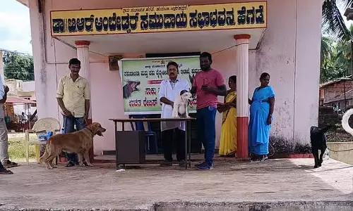 Uttara Kannada : आवारा कुत्तों के लिए रेबीज वैक्सीन नहीं है