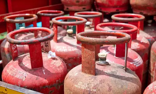 जनता को दीपावली के पहले शासन का बड़ा उपहार, 15 दिनों में दिए जाएंगे LPG की नवीन कनेक्शन